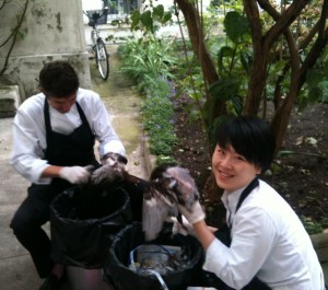 Pulling feathers at Bigarrade with Chef Pele and comis