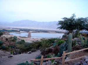 eilat 2